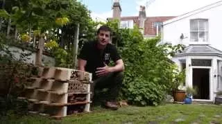 How to make an insect hotel