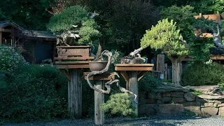 Garden Design