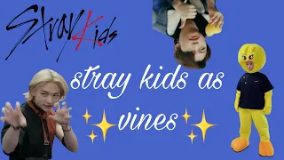 stray kids as ✨vines✨