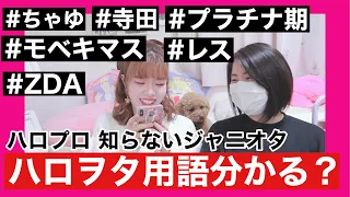 【ミリしら】ハロプロ 知らないジャニーズオタクはハロヲタ用語分かるのか！？（検証）