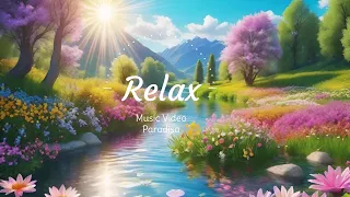 Lounge Music Video, Relax Music Video, Flowers and Landscapes in Watercolor,