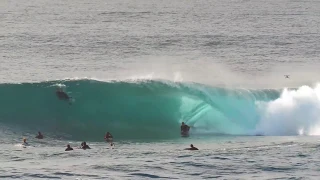 Locals are SENDING IT at Shark Island