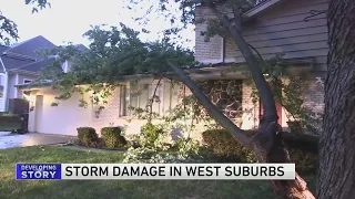 Storm damage Wednesday night in western suburbs