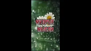 Мудрые мысли. 💯 Цитаты со смыслом. 💯 Мудрые слова. 💯 Правда. #shorts