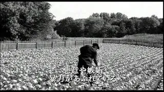 白いリボン 予告編　-The White Ribbon-