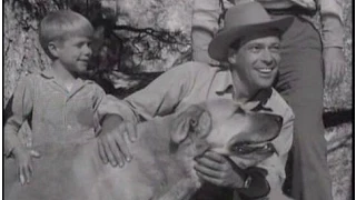 Lassie - Episode #201 - "The Maverick" - Season 6 Ep. 19 -   01/17/1960