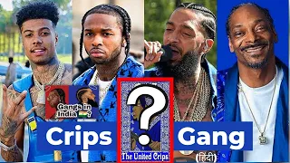 CRIPS GANG Story in Hindi ( History Explanation ) | Gang Affiliations in Hip Hop | Know The Culture