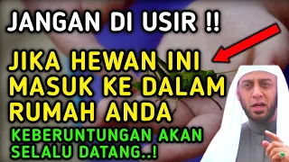 ANDA BERUNTUNG SEUMUR HIDUP !! Jika Ada 10 Hewan Ini Memasuki Rumah Anda, Arti Binatang Masuk Rumah