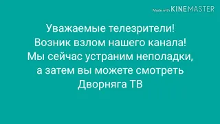 Взлом канала Дворняга ТВ фанатами Сени Звоненко