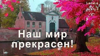 Как прекрасен этот мир!/ Добрый прекрасный день!/ Красота!