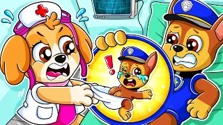 Chase is Pregnant?! What Happened - Very Sad Story - PAW Patrol The Mighty Movie - Rainbow 3