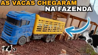 AS VACAS CHEGARAM!!!🐄