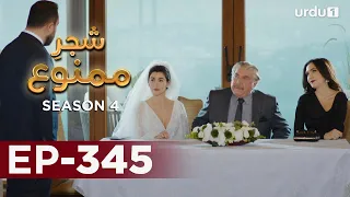 Shajar-e-Mamnu | Episode 345 | Turkish Drama  | Forbidden Fruit | Urdu Dubbing | 6 April 2022