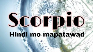 Nireresolbahan ang relation.Mas magfocus sa positive. #scorpio #horoscope #tagalogtarotreading
