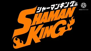 Shaman King - Soul Salvation (preview)