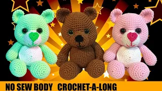 CROCHET BEAR - CARE BEAR - no sew 9" SITTING