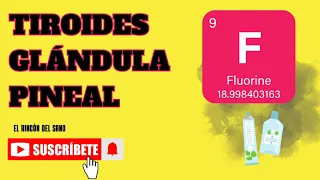 Cómo afecta el FLÚOR a la tiroides y la glándula pineal