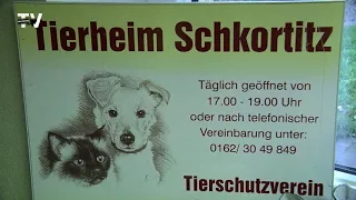 Tag der offenen Tür im Tierheim Schkortitz 2017