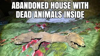 Found Dead Animals In An Abandoned House | Urbex & Lost Places