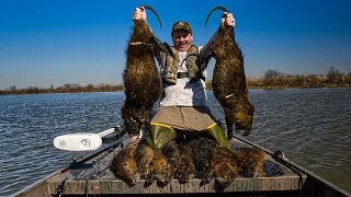 Hunting GIANT marsh RATS to Eat | Louisiana Nutria Catch and Cook