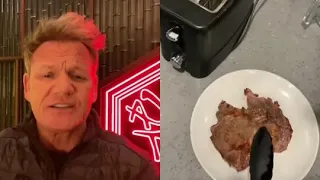 Gordon Ramsay drags the person on tik tok who put steak in the toaster