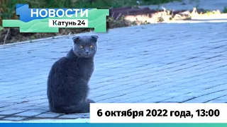 Новости Алтайского края 6 октября 2022 года, выпуск в 13:00