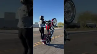 Doing wheelies on a Harley Dyna