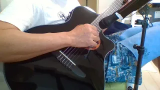 "The Boxer" Solo Guitar