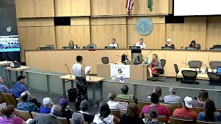 Seattle City Council Sustainability & Transportation Committee Public Hearing 6/11/19