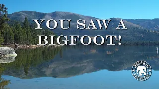 You Saw A Bigfoot!     [EP-129]