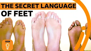 What do your feet reveal about you? | BBC Ideas