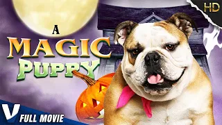 A MAGIC PUPPY - FULL FAMILY MOVIE IN ENGLISH - V EXCLUSIVE