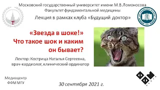 Н.С. Кострица - "Звезда в шоке!" Что такое шок и каким он бывает?