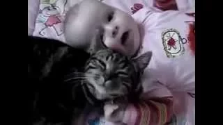 Кошка обожает маленьких детей   Cat loves the little children