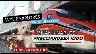 PREMIUM CLASS ON FRECCIAROSSA 1000 : MILAN - NAPOLI