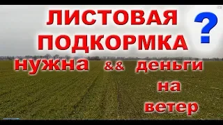 Подкормка по листу: Зачем нужны стимуляторы роста растений ?