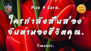 Pick A Card ความรัก❤️ใครกำลังสืบส่องจับตามองชีวิตคุณ❤️Timeless.💥