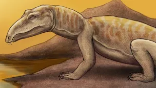 Proterosuchus: The Apex Predator Of The Early Triassic