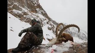 Himalayan Ibex Hunt (catch, clean, cook)