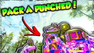 D.I.E SHOCKWAVE + VARIANTS CAN NOW BE PACK A PUNCHED! Cold War Zombies