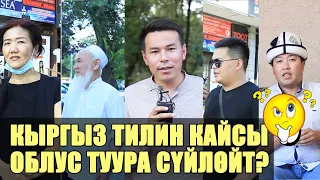 Кыргыз тилин кайсы облус туура сүйлөйт