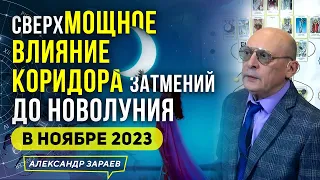 ❗️ДО НОВОЛУНИЯ В НОЯБРЕ 2023 СВЕРХМОЩНОЕ ВЛИЯНИЕ КОРИДОРА ЗАТМЕНИЙ l ИЗ ВЕБИНАРА ЗАРАЕВА 27.10.2023