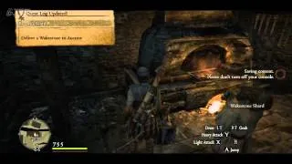 Dragon's Dogma   серия 8 Осваиваемся в Gran Soren