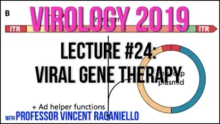 Virology Lectures 2019: Viral Gene Therapy