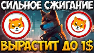 СИЛЬНОЕ СЖИГАНИЕ SHIBA INU - ПРОГНОЗ РОСТА ШИБЫ 1$ | ТОЧНАЯ ДАТА УЖЕ В 2024 ГОДУ