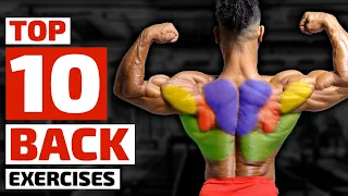 Top Trainers Agree, These are the 10 Best Exercises for Building a Bigger Back