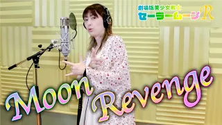 【カバー】Moon Revenge / 石田燿子 ver. -Moon Revenge / Ishida Yoko ver.-【劇場版美少女戦士セーラームーンR】