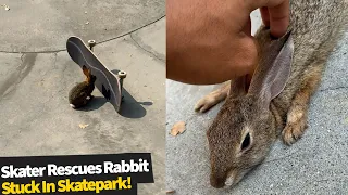 Skater comes to the rescue to save adorable rabbit stuck in a skatepark bowl.