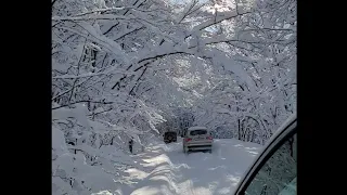 Крым. Подъем на Ай петри на авто. Хорошая погода