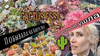 Посетила  Кактус фест в Москве. Cactus fest. Без покупки не ушла